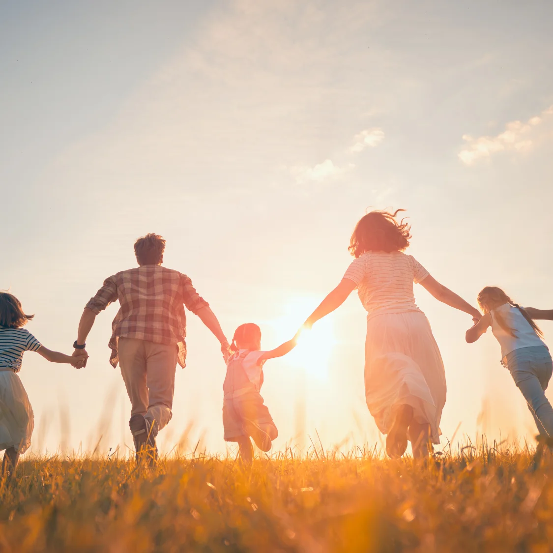 About Seim Chiropractic & Wellness